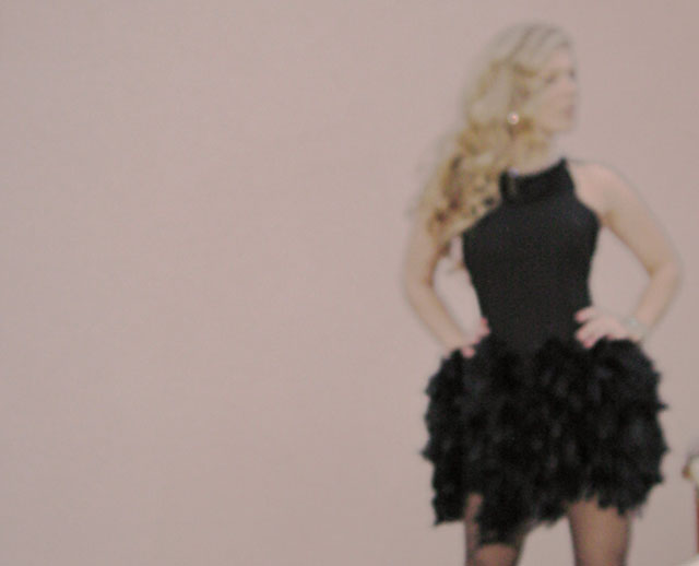 diy feather dress-