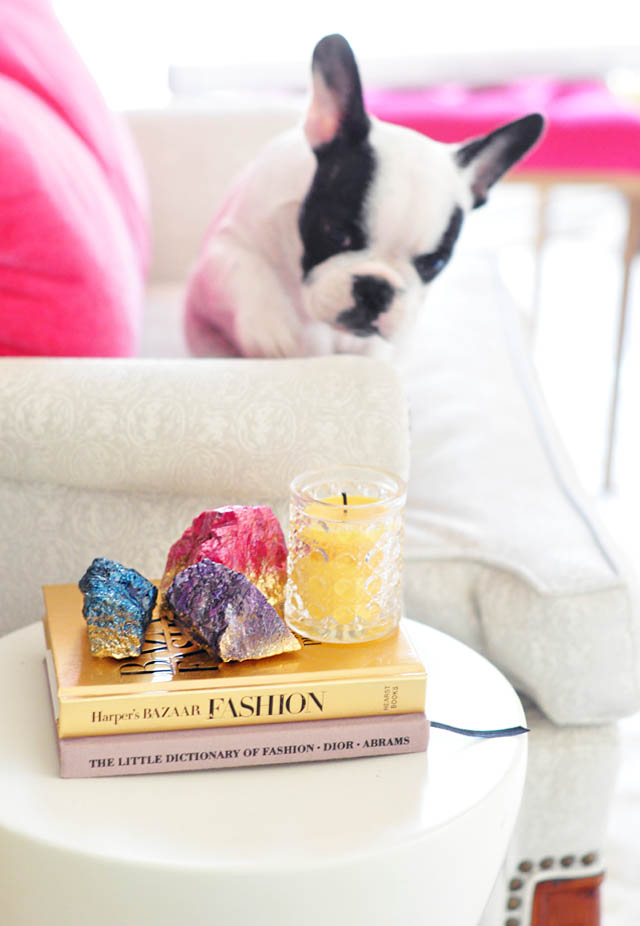 diy rock crystals + frenchie