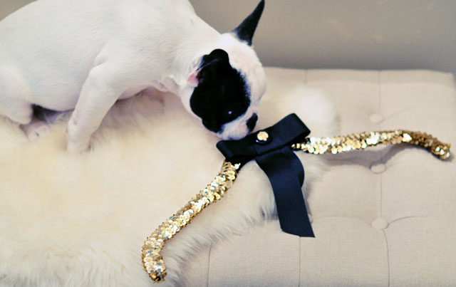 diy sequin bow hanger with puppy