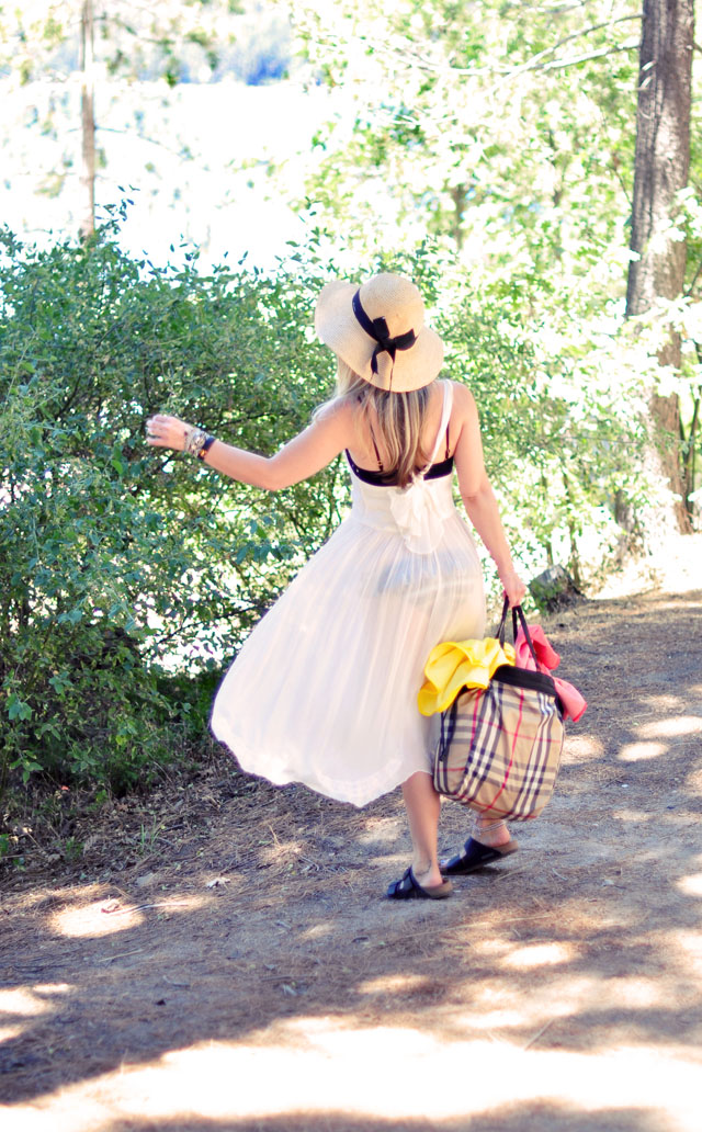 dress by the lake -burberry bag