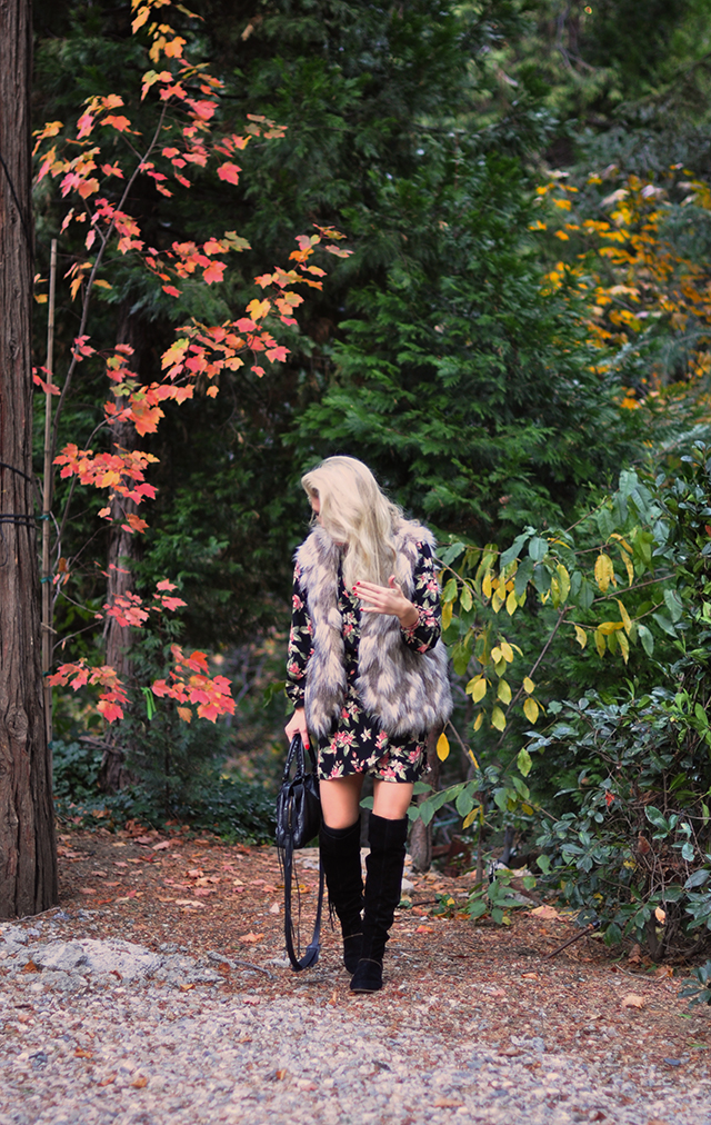 fall-style_fall-foliage-floral-dress_faux-fur-dress-tall-boots