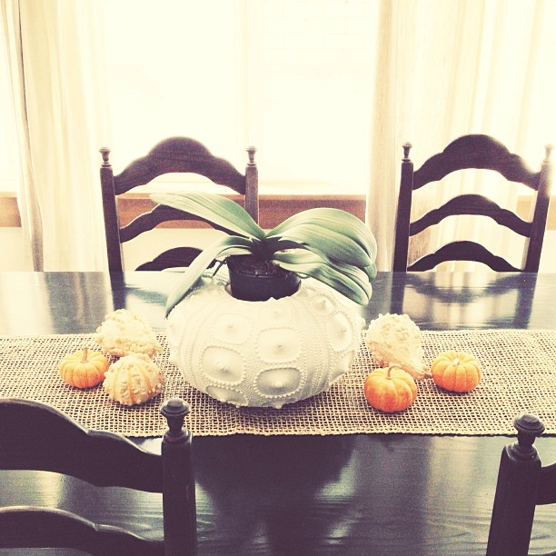 fall table