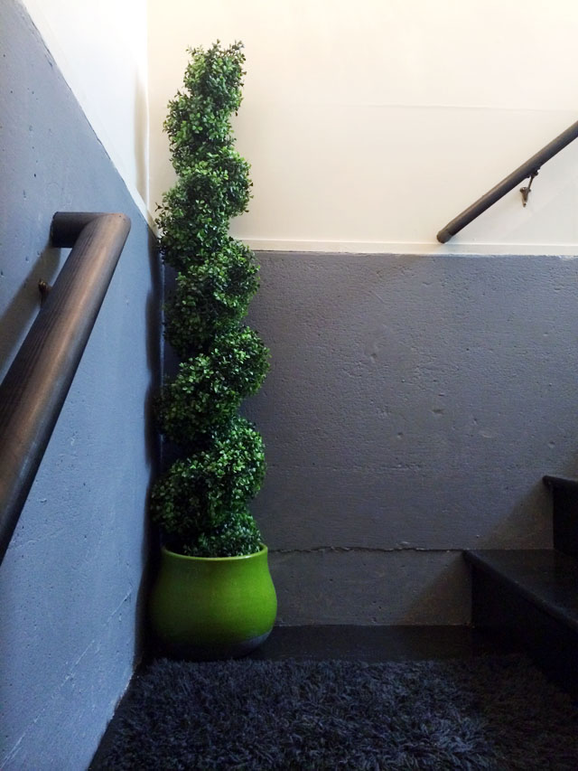 faux boxwood spiral tree-1