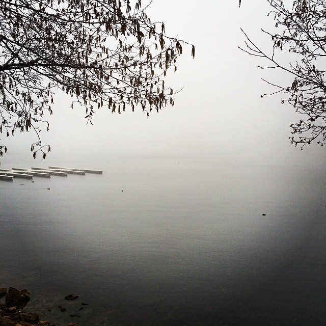 fog on the lake