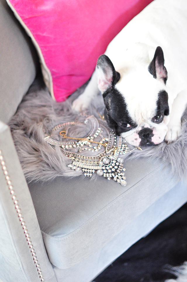 french bulldog_necklaces