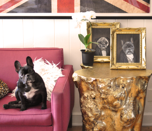 frenchie+and+pug+dog+portraits++-+gold+table