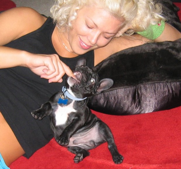 frenchie-puppy-leroy-lovemaegan-18