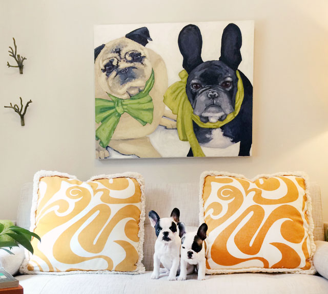 frenchie pups under the frenchie + pug portrait