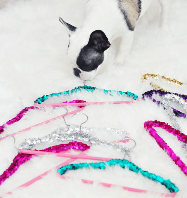 frenchie with sequin princess hangers