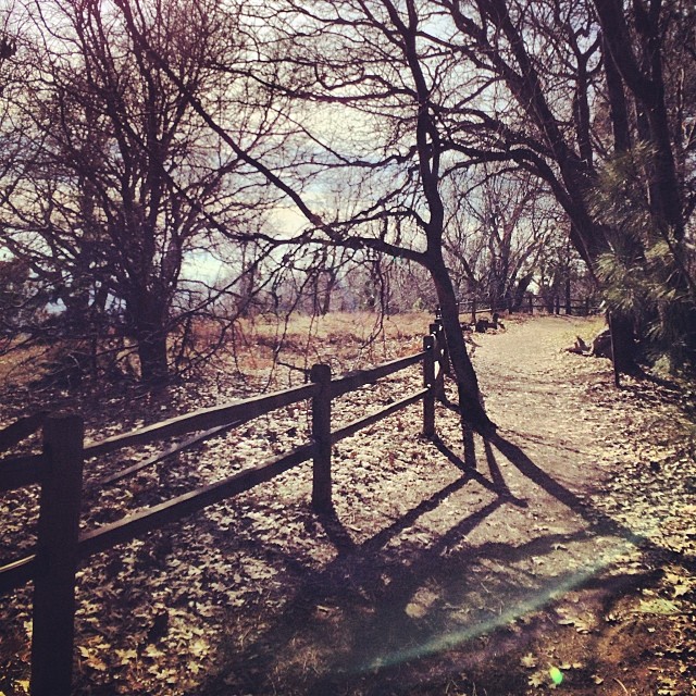 heaps peak arboretum