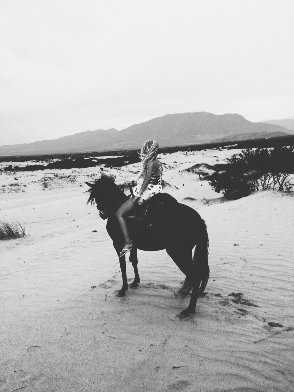 horseback on the beach