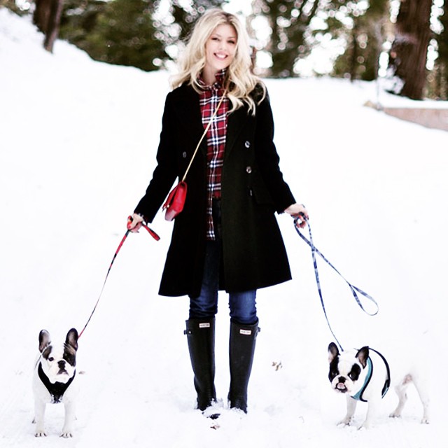 hunter boots-french bulldogs-plaid-ootd in the snow