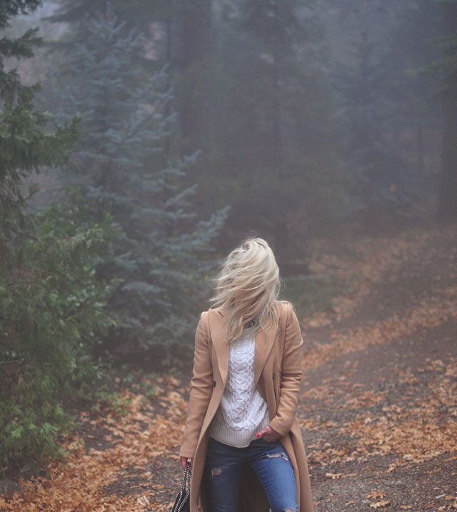 in-the-fog_in-the-forest