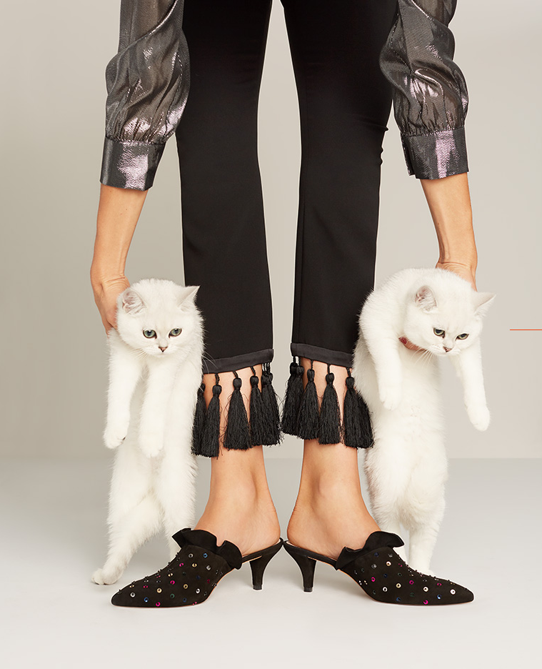 kittens-and-kitten-heels
