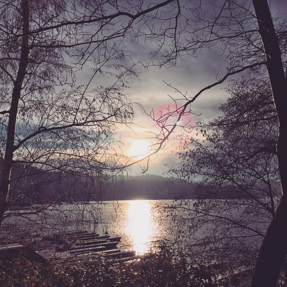 lake arrowhead sunset through the trees