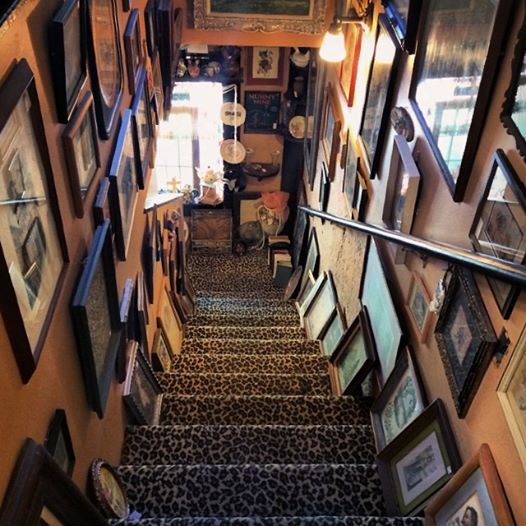 leopard carpet-stairs line with picture frames