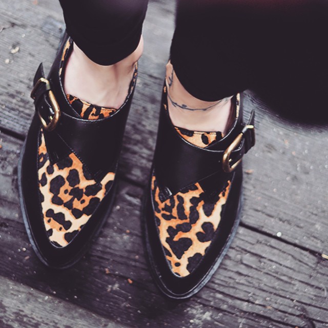 leopard creepers