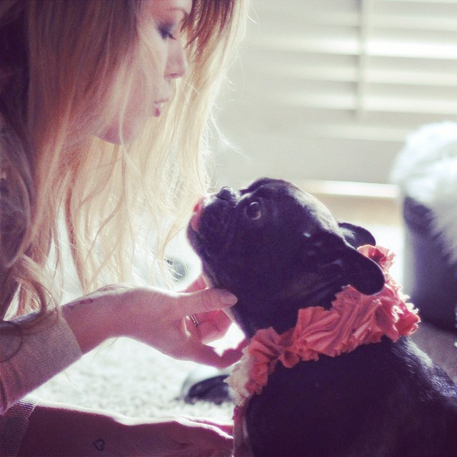 leroy frenchie kisses