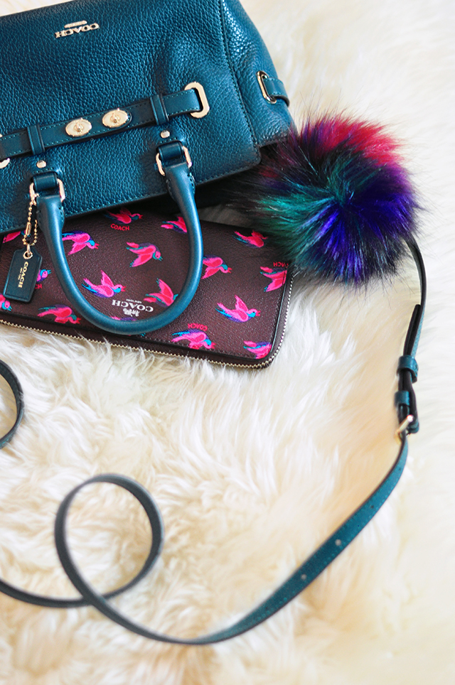 mini-coach-bag-and-wallet-with-bird-print