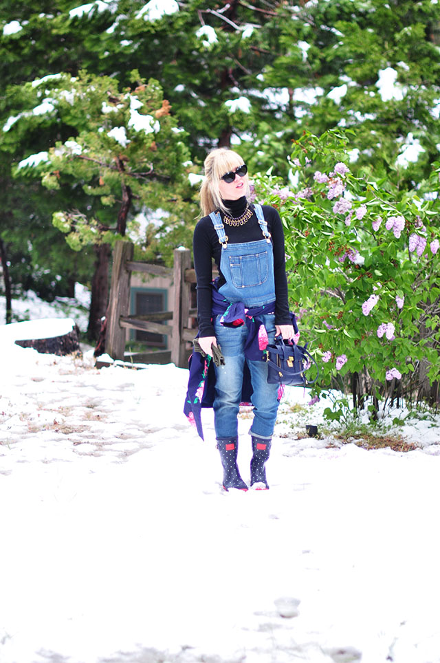 overalls in the snow