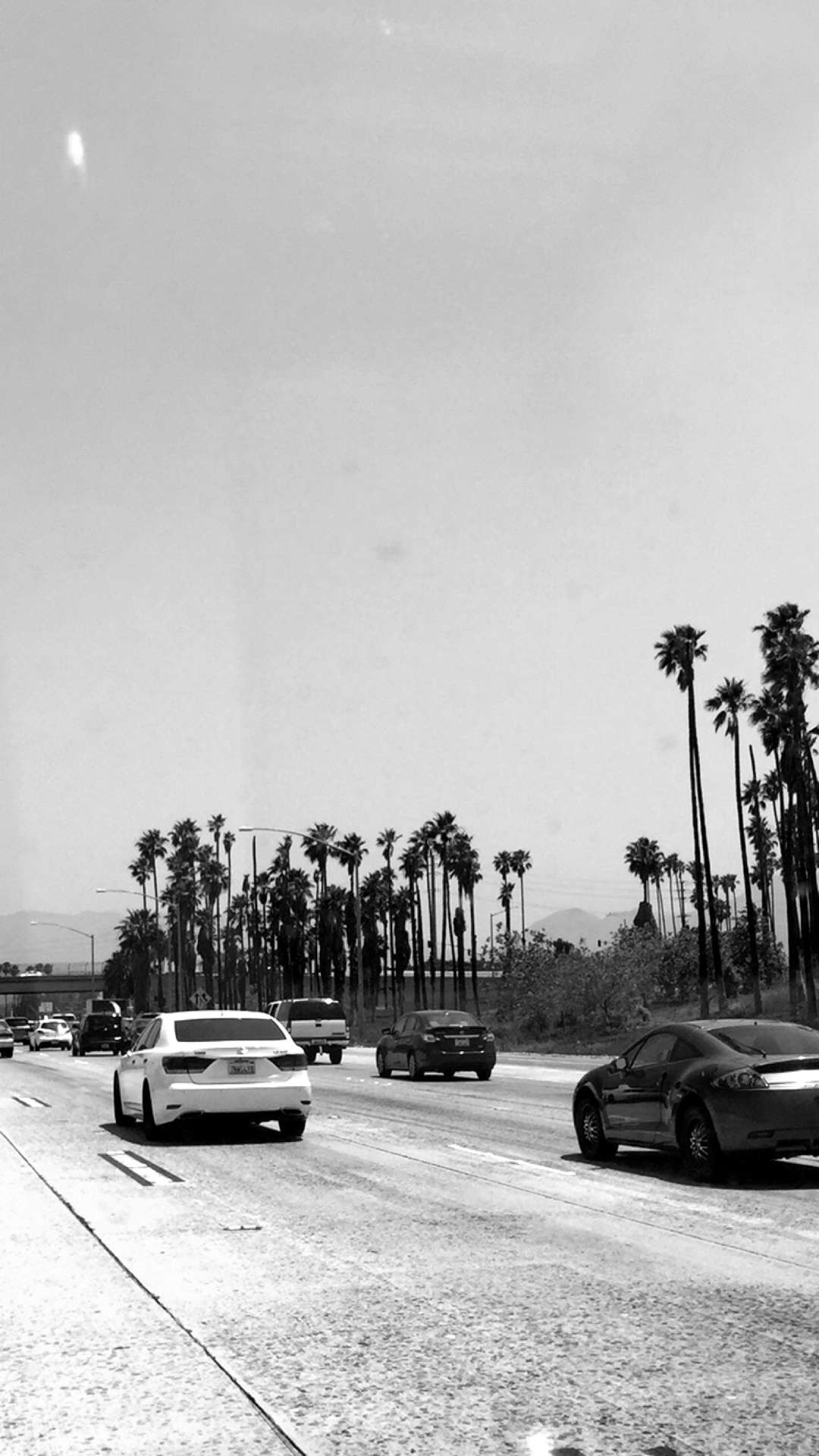 palms off the freeway