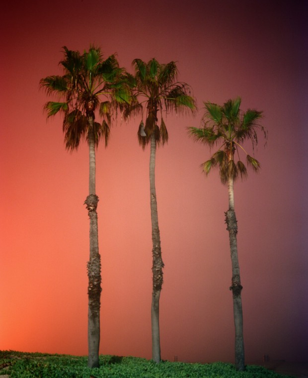 palms.dockweiler.12.12