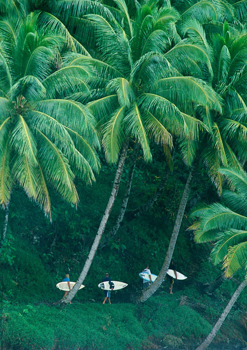 palms_surfers