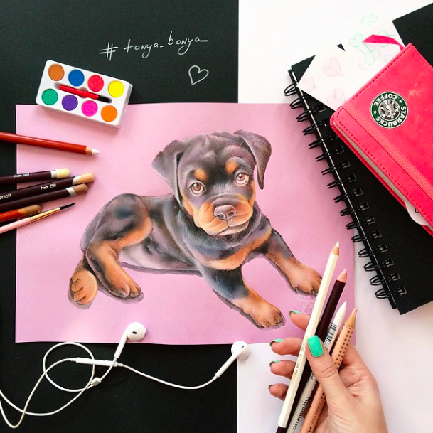 pet art_tanya bonya instagram