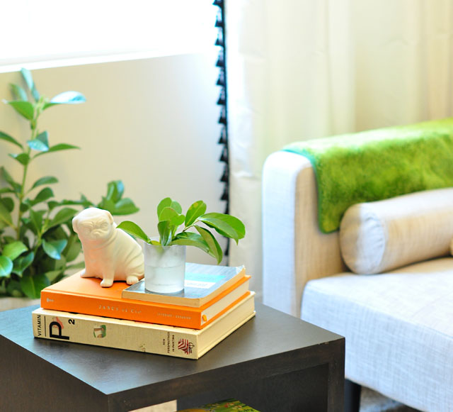 playful coffee table vignette