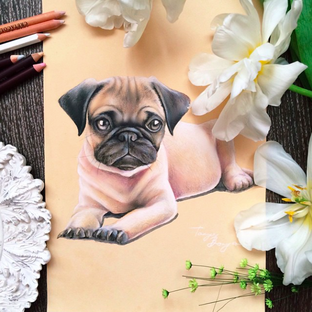 pug_tanya bonya