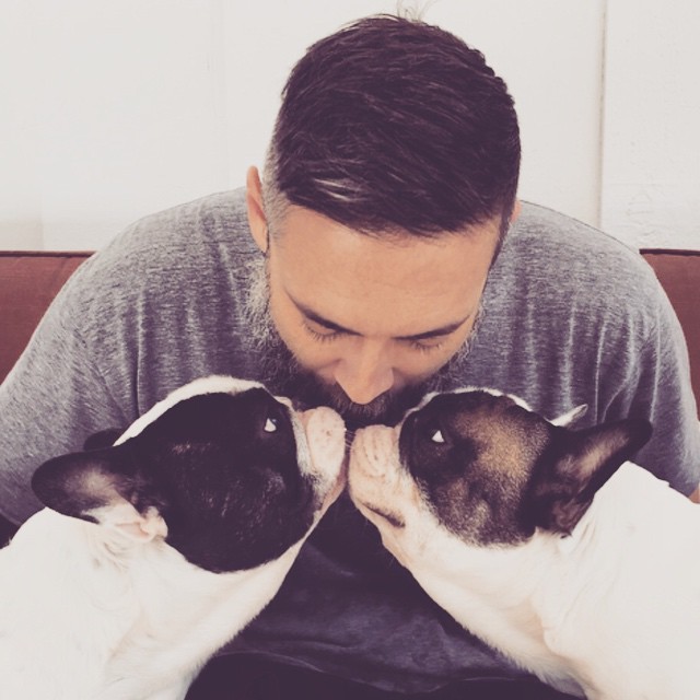 puppy kisses_french bulldogs_father's day