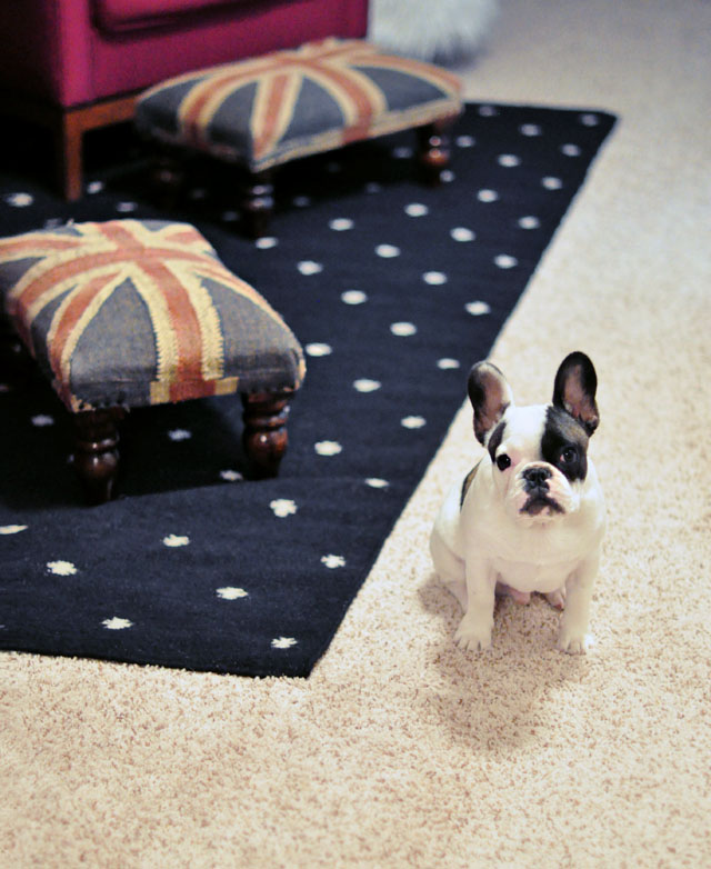 randy+ new rug in the hallway