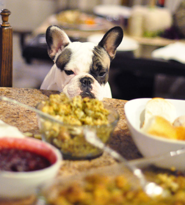 randy staring at the food