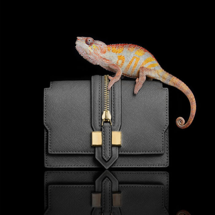 reptile-still-life-photographer-london-chameleon-handbag-fashion-clutch-bag