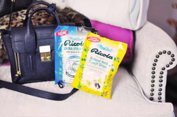 ricola+phillip lim bag