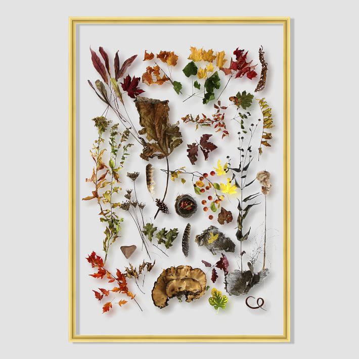 still-acrylic-wall-art-autumn-botanicals-1-o