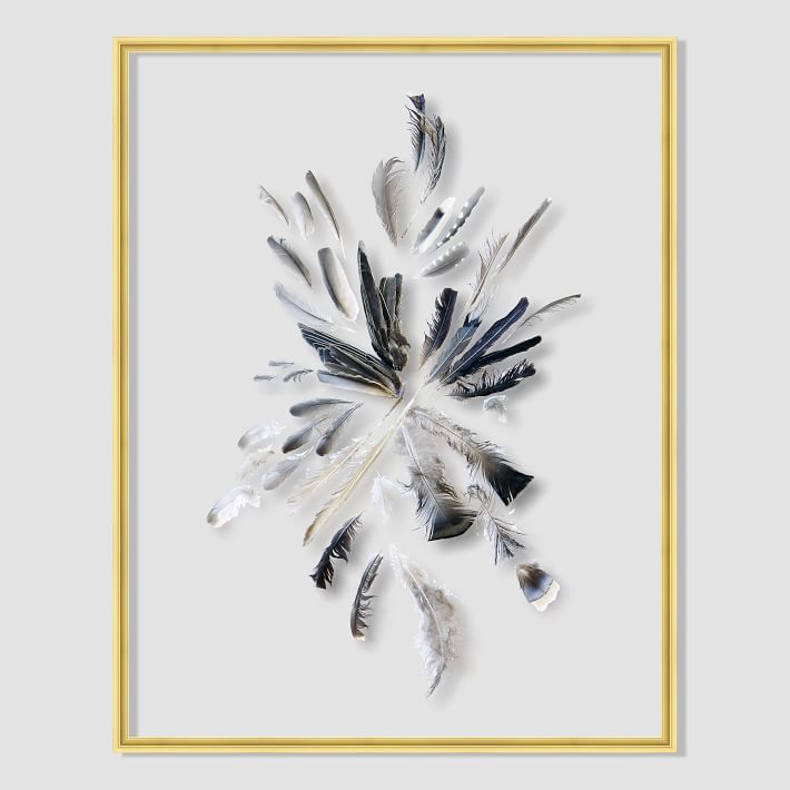 still-acrylic-wall-art-feathers-o