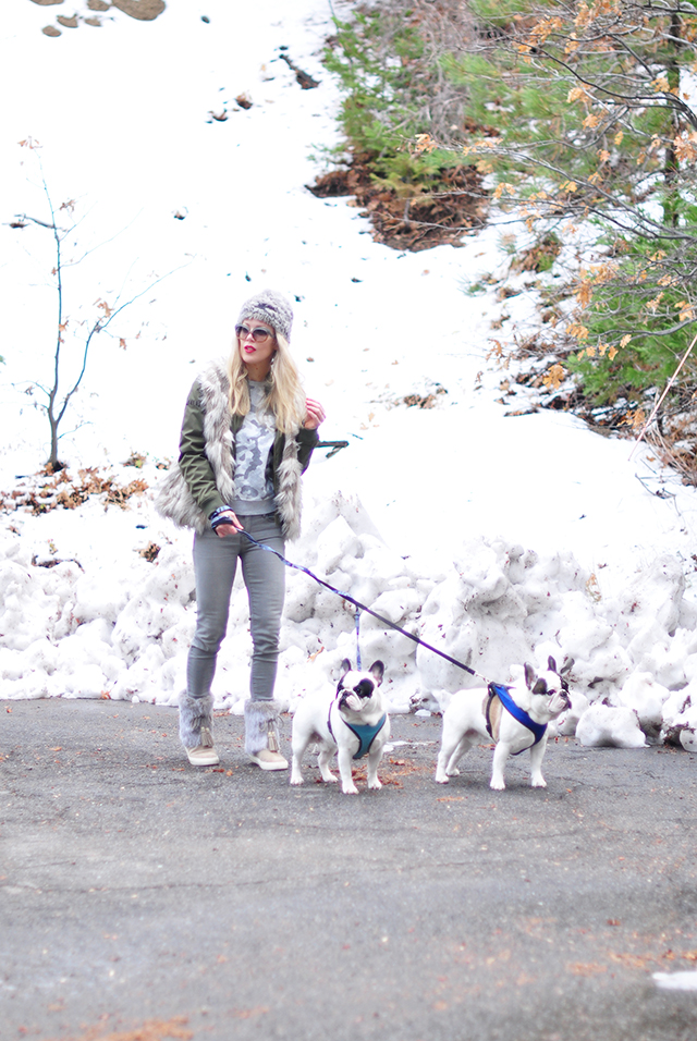 style-in-the-snow_with-french-bulldogs
