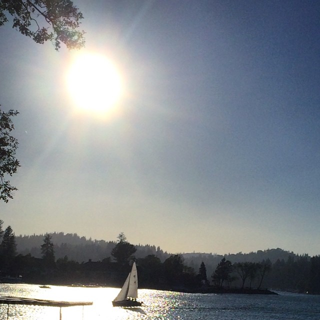 sun and sail on the lake