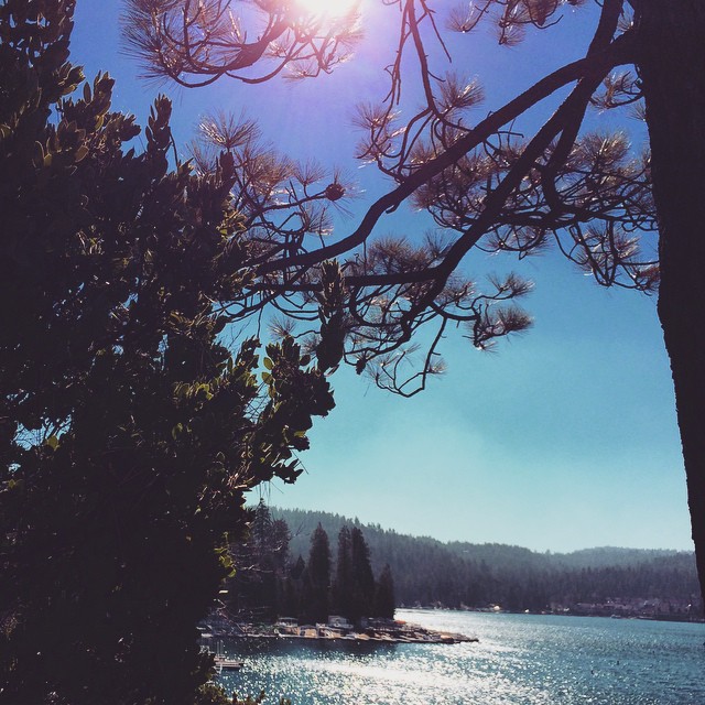 sun through the trees over the lake