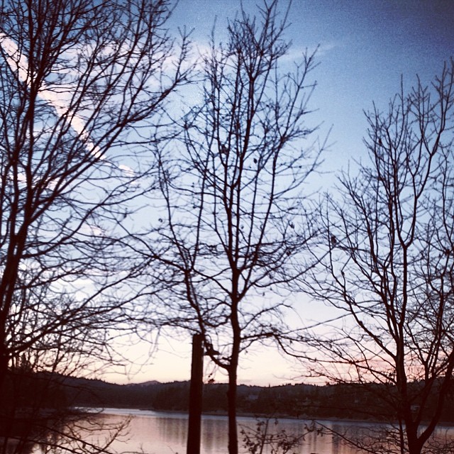 sunset on the lake through the trees