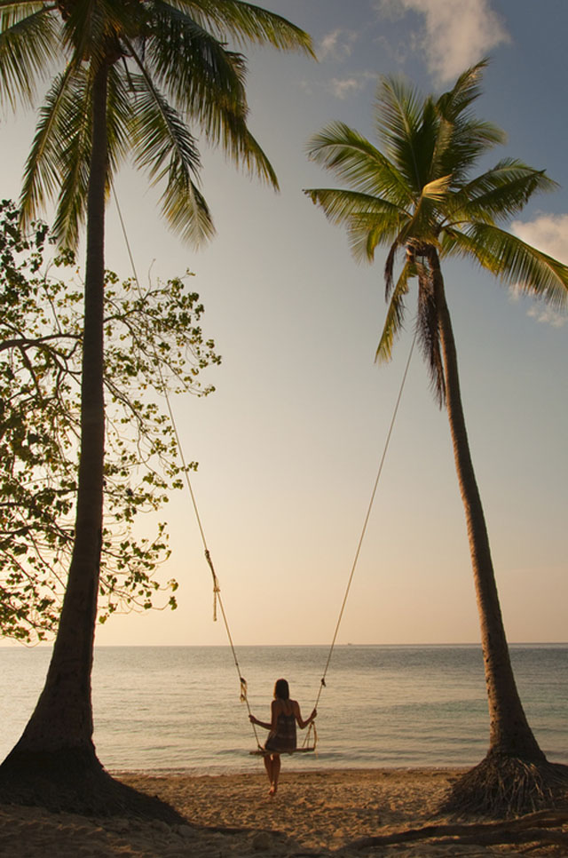 swinging from palms on the beach