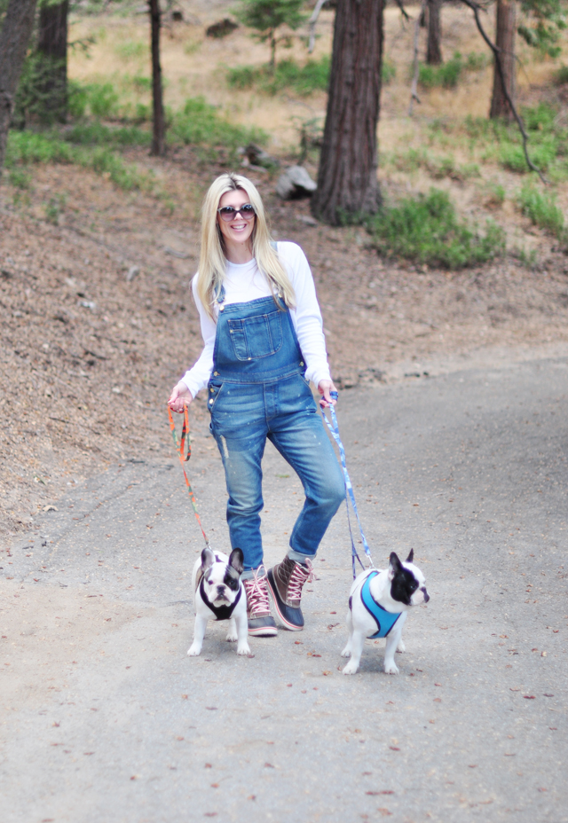 walking the dogs in overalls