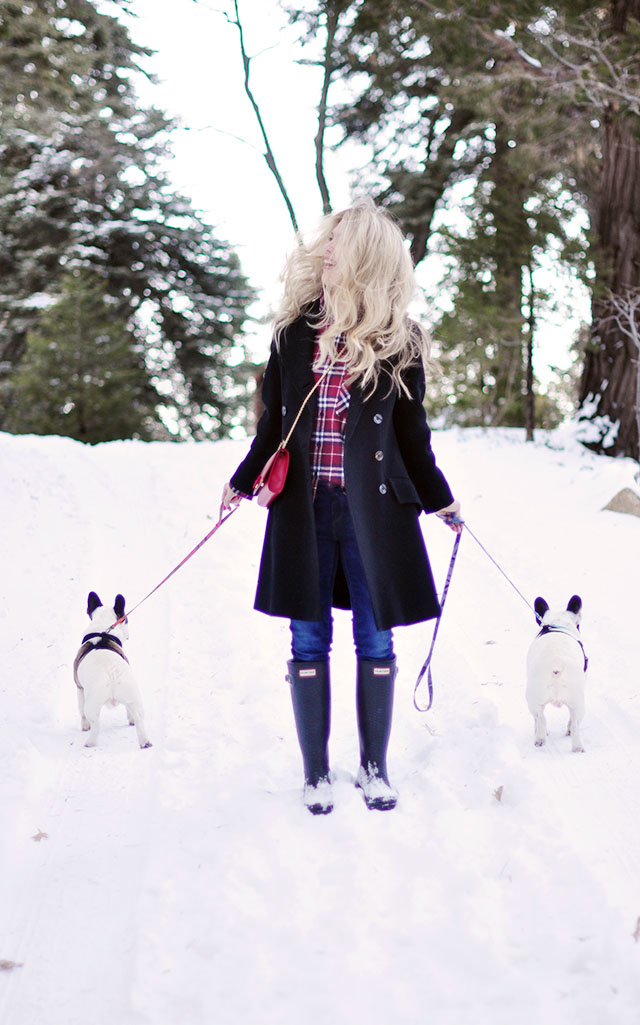 walking the dogs in the snow-