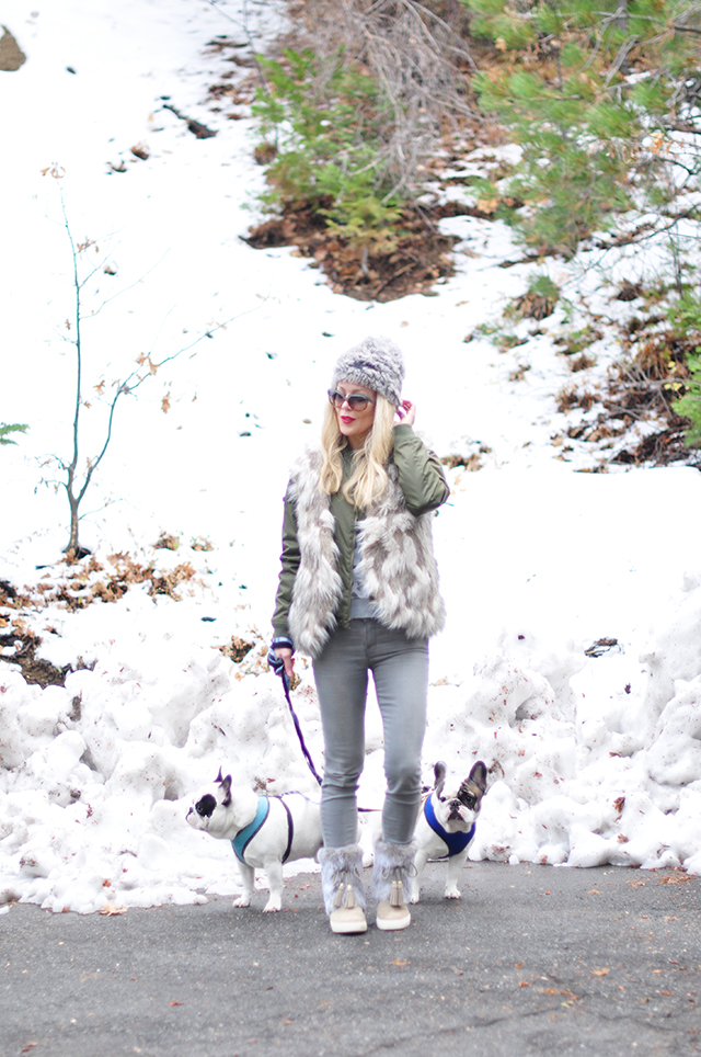 walking-the-dogs-in-the-snow