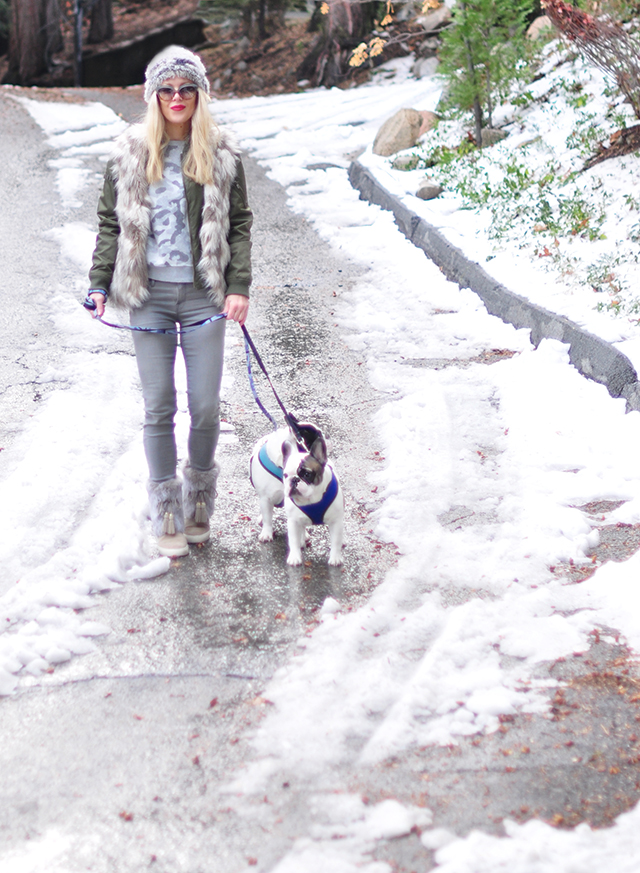 winter-style-in-the-snow-with-frenchies